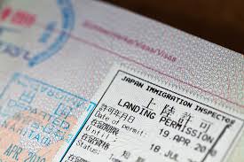 Visa Application Support